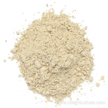 Chinese New Crop Best Garlic Powder